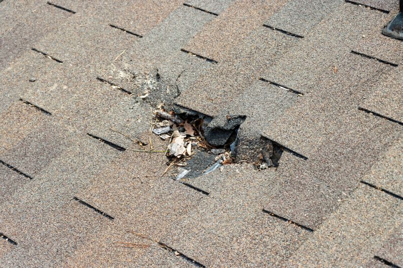 Roof Reshingling in Alexandria, VA